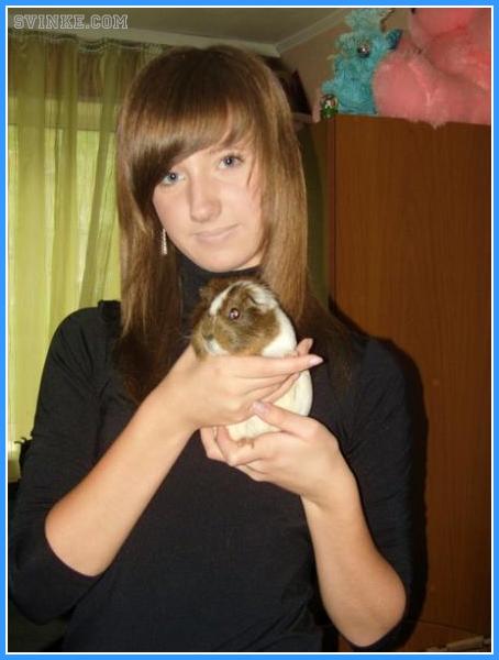 Я и моя морская свинка. Автор Irina :)